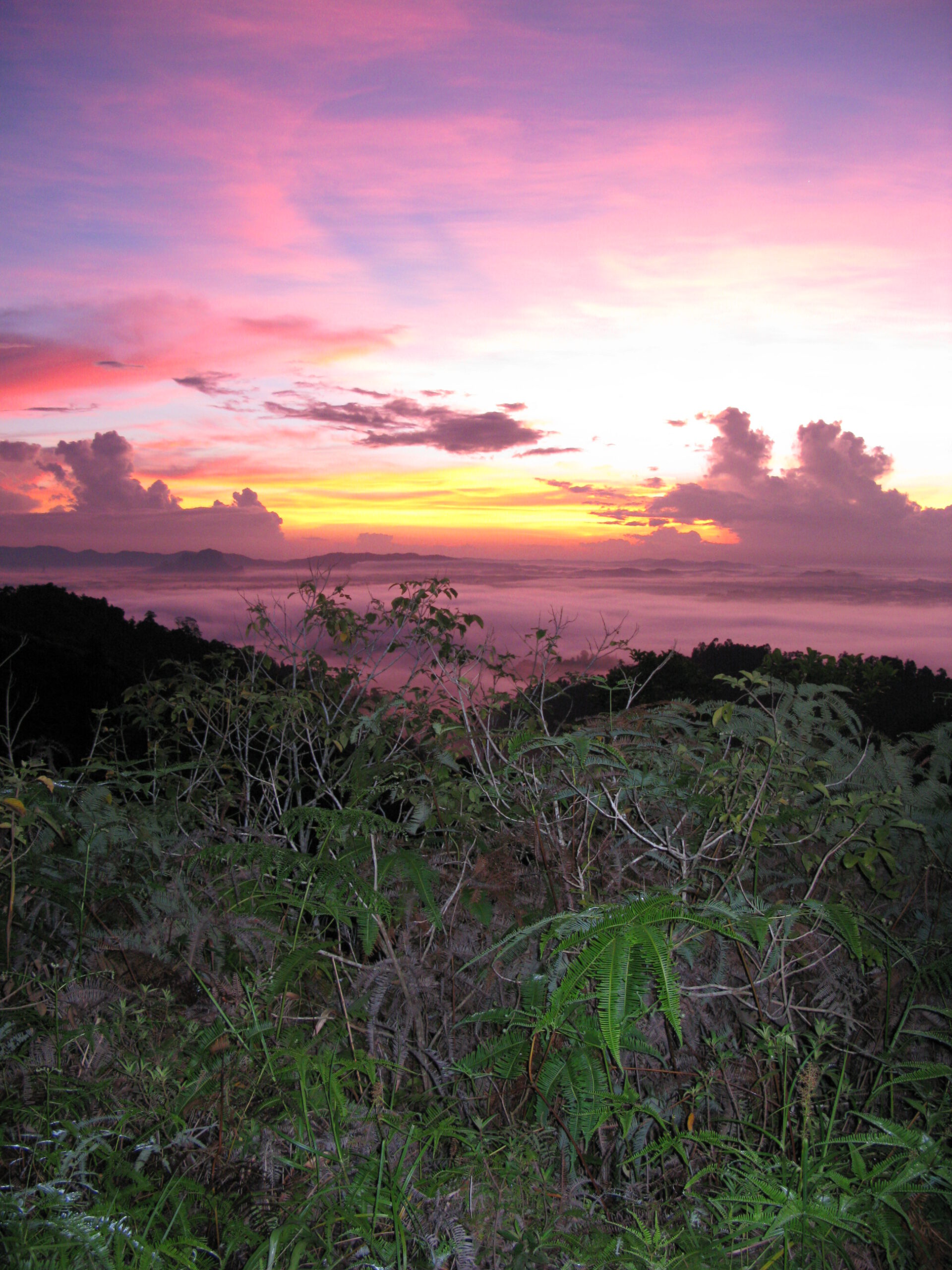 LEUCHTKRAFT Farbberatung Eigenfarbanalyse Weinheim
